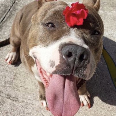 Lady constantly reminding us to stop and smell the roses.