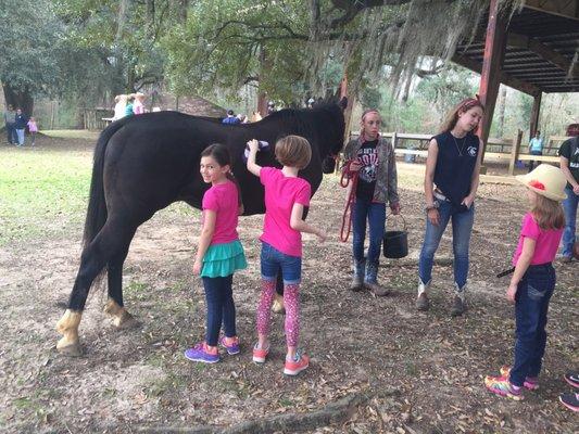 Girl Scouts Camp Mary Dale