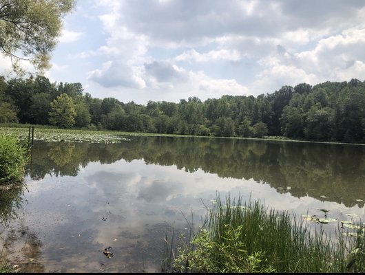 Beautiful view from park bench.