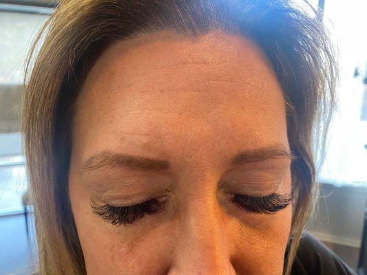 Hybrid Lashes