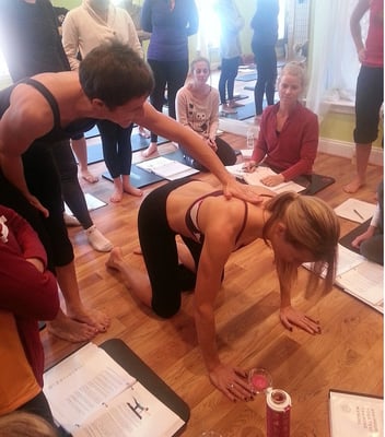 Yoga and Pilates teacher training Starts Feb. 7th!