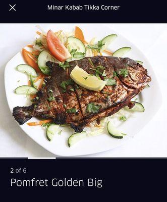 Pomfret Golden big