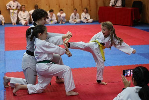 Taekwondo Promotion Test