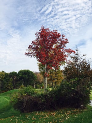 Such a beautiful course mid October