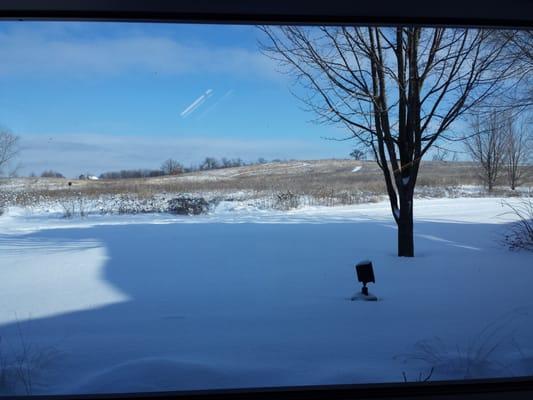 View of Badger Prairie County Park from the atrium