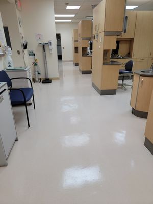 Floor Strip and Wax