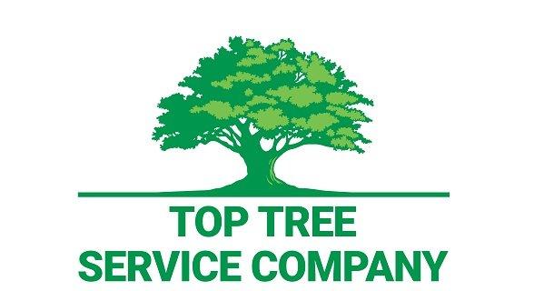 Top Tree Service