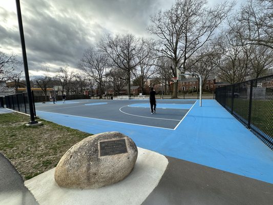 Regular sized basketball hoops