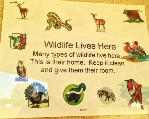 Wild things live here