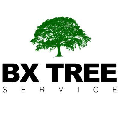 BX Tree Service