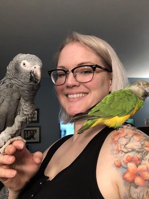 Me and Osha, my 16 year old Timneh Grey and Deuce my 21 year old Senegal Parrot from MHHS