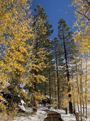 Tahoe City Lakeside Trail