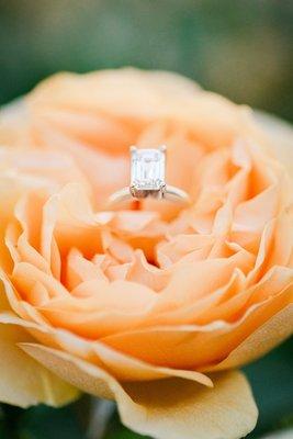 Somerston Estate and Vineyard, Engagement Session, Ring Shot