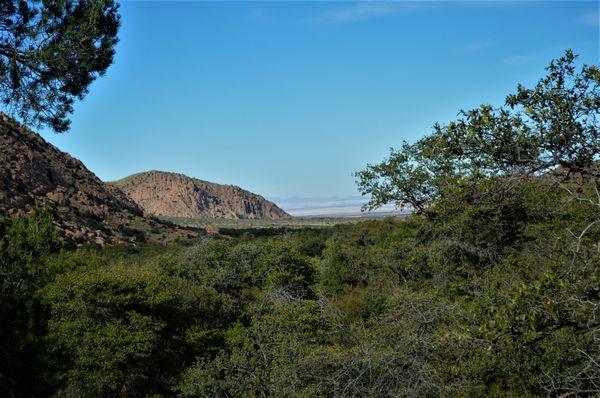 View from top of nature trail, looking down.