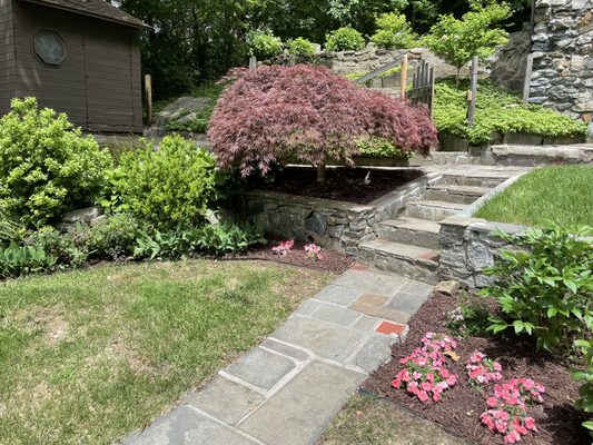 Mulch installation/planting