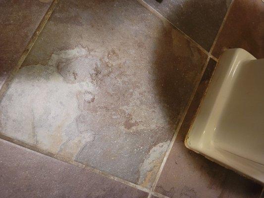 bathroom floor after Merry Maids "deep clean"