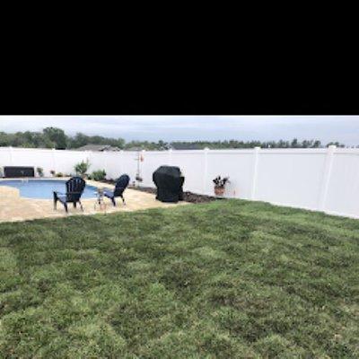 Recently installed sod.