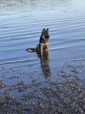 Warren G. Magnuson Park