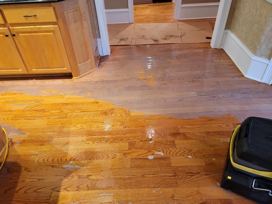 Hardwood Floor Wax Removal