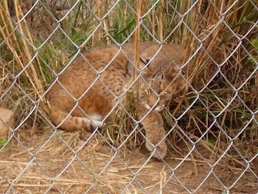 Wolf Run Wildlife Refuge