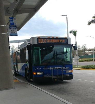 A HART bus in Tampa FL