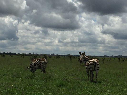 Nairobi, Kenya