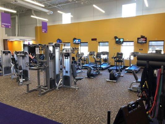 A good selection of cardio equipment.