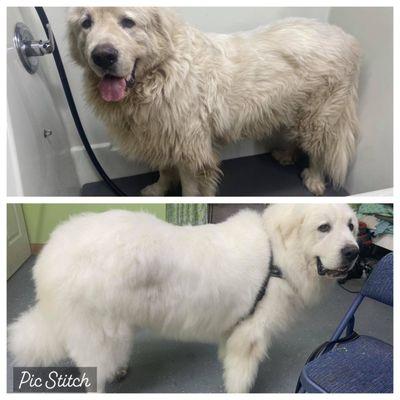 Before and after bath.