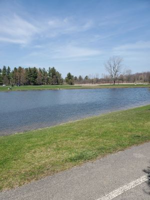 Enjoy summertime weather and nature with a walk