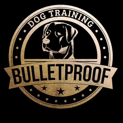 Bulletproof Dog Training