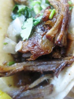 Taco de Carnitas