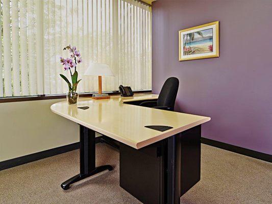 Private offices to rent per the hour, day, week, or year!