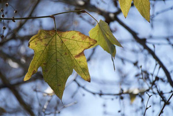 Temecula Photography Classes