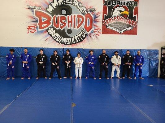 Adult all levels BJJ GI