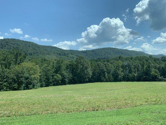 The frolicking field as you drive in