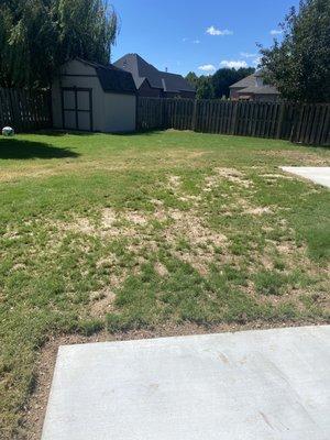 This entire yard was green before they ruined it.