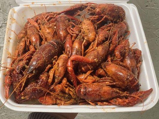 Boiled Crawfish