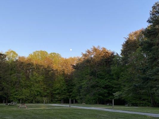 Moon rising over the campground.