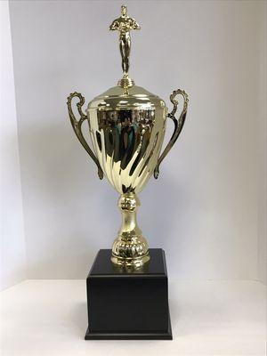 Large cup award