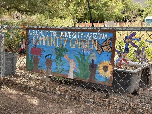 University Of Arizona Community Garden