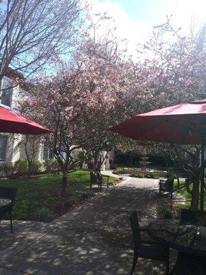 Beautiful patio area.