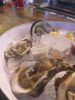 Delicious Fresh Oysters on a Half Shell