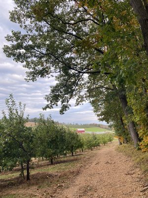 Fall at the farm