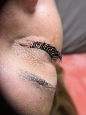 Hybrid Lashes