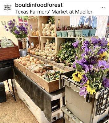 Bouldin Food Forest