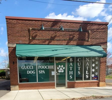 Gucci Poochie Dog Grooming