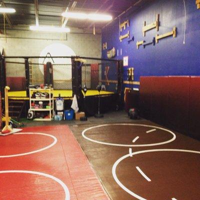 One of the few Gyms in Michigan that has an MMA cage.