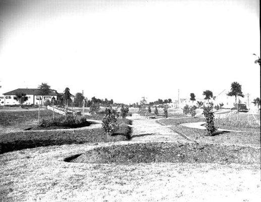 Sunken Garden