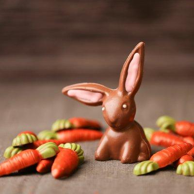 Chocolate Easter bunny and 14 carrots