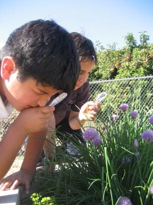 El Cajon Seventh-Day Adventist Christian School